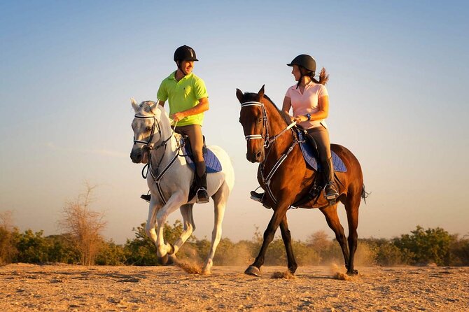 Horse Riding in Antalya,Belek,Lara Beach(Sunrise,Sunset,Day Time) - Forest Day Ride vs Sunrise Beach vs Sunset Mix