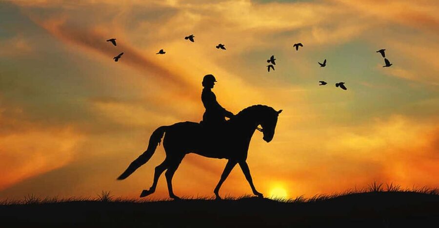 Horse Riding in Cappadocia - Group Size And Pace: The One Thing To Watch