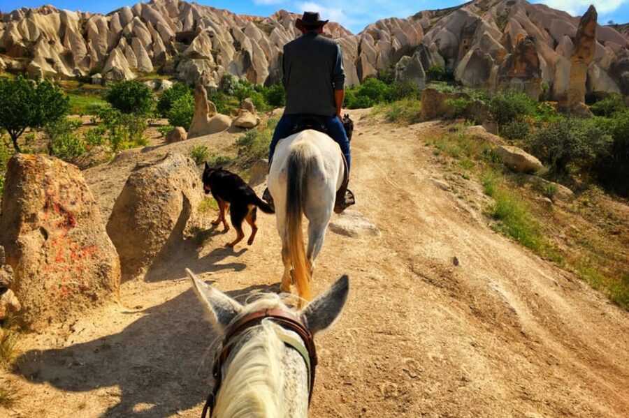 Horse Riding in Cappadocia - Rose Valley Near Göreme: Sharp Edges, Photo Breaks, And Scenic Connections