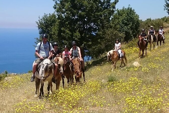 Horse Riding in Fethiye - Key points before you go