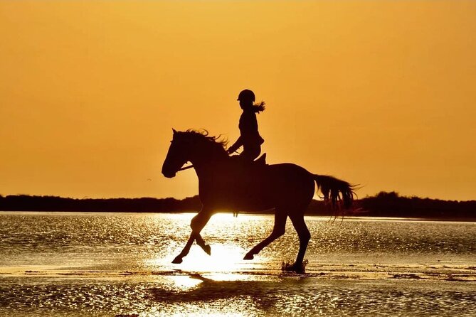 Horse Riding in Manavgat Side Forest and Beach - Key points to know before you go