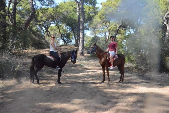 Horse Riding in Manavgat Side Forest and Beach - Why a short Side-to-Manavgat horse ride is such good value