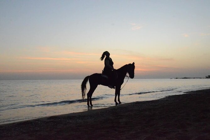 Horse Riding in Manavgat Side Forest and Beach - A guided hour on horseback: what the experience feels like