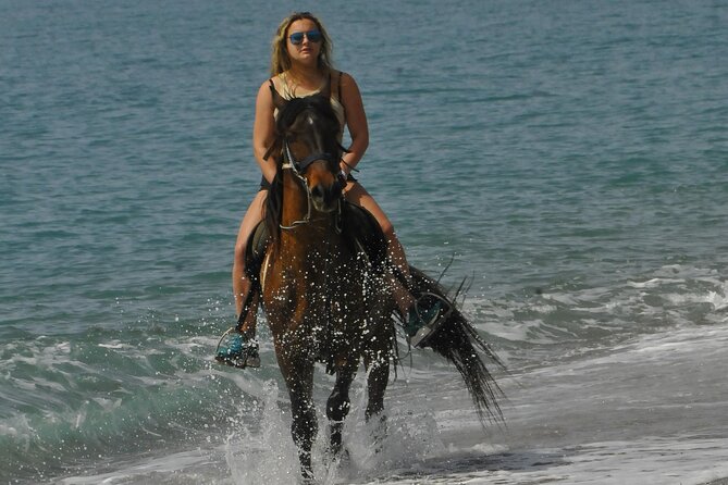 Horse Riding in Manavgat Side Forest and Beach - Morning vs afternoon departures, and why sunset can be your secret weapon