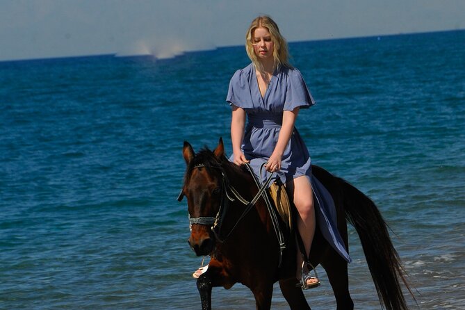 Horse Riding in Manavgat Side Forest and Beach - Value check: does this trip deliver for the $56.72 price?