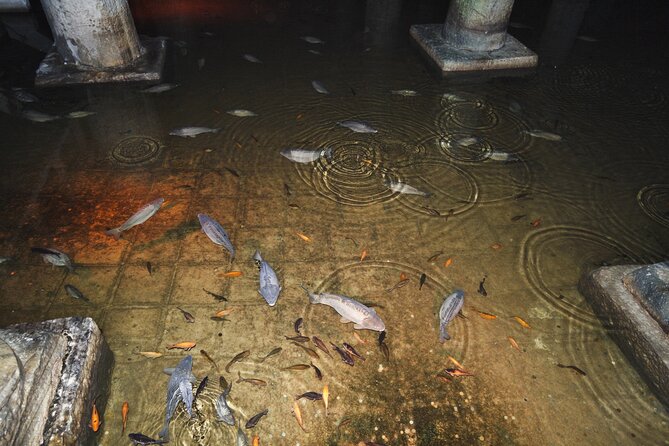 Istanbu City Walk: Topkapi Palace, Harem, & Basilica Guided Tour - Topkapi Palace and the Harem, not just rooms but a system