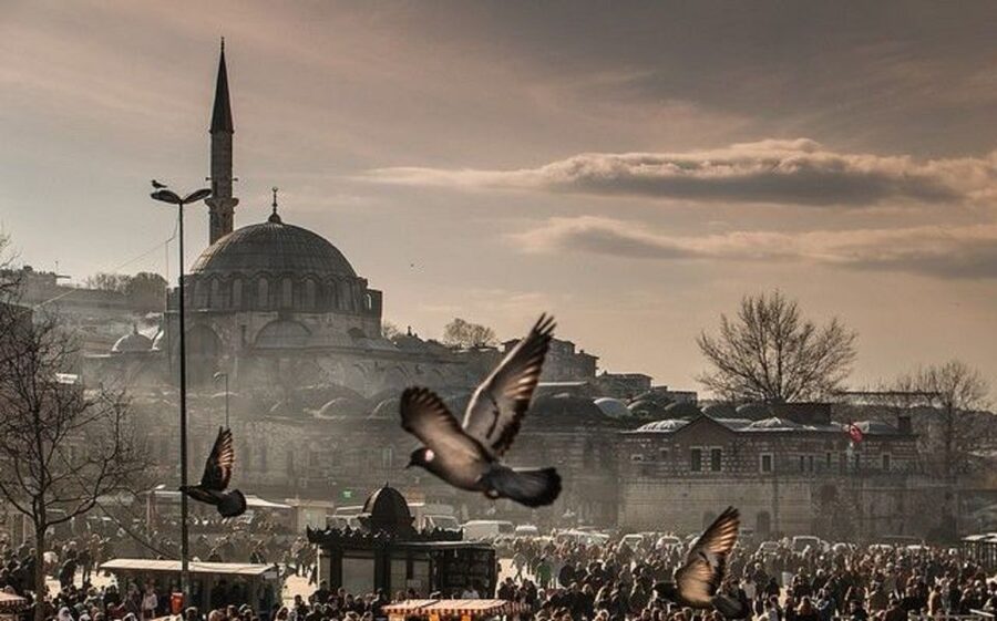 Istanbul: 1 or 2 -Day Private Guided City Tour - Meeting at the German Fountain: Getting Oriented Before You Walk