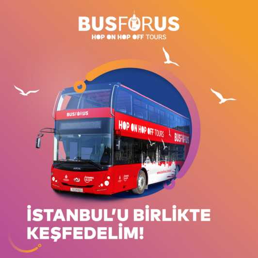 Istanbul: 48-Hour Hop-On Hop-Off Double Decker Bus Ticket - What You Learn Onboard: Multilingual Audio That Makes Stops Make Sense