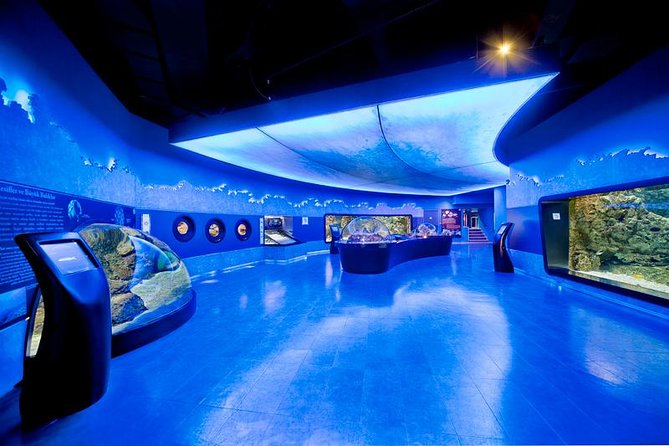 Istanbul Aquarium and Aqua Florya Independent Shopping Trip - Key Points You Should Know Before You Go