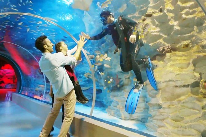 Istanbul Aquarium and Aqua Florya Independent Shopping Trip - The Optional 5D Movie at the Aquarium House