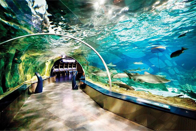 Istanbul Aquarium and Aqua Florya Independent Shopping Trip - Who This Works Best For (and Who Should Rethink It)