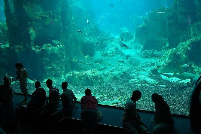 Istanbul Aquarium and Aqua Florya Independent Shopping Trip - Tips to Get the Most From the Aquarium Route