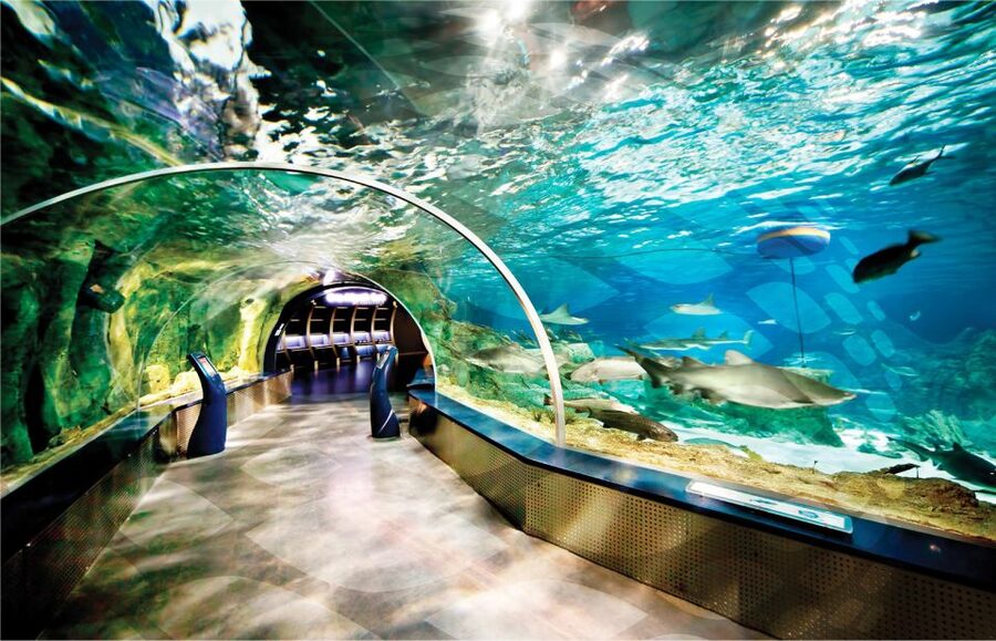 Istanbul Aquarium and Aqua Florya Shopping Mall Tour - Key things you should know before you go