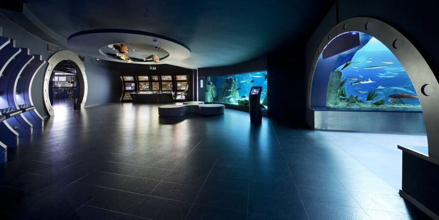 Istanbul Aquarium and Aqua Florya Shopping Mall Tour - Mirror Labyrinth and Rainforest Quest: movement inside a museum setting
