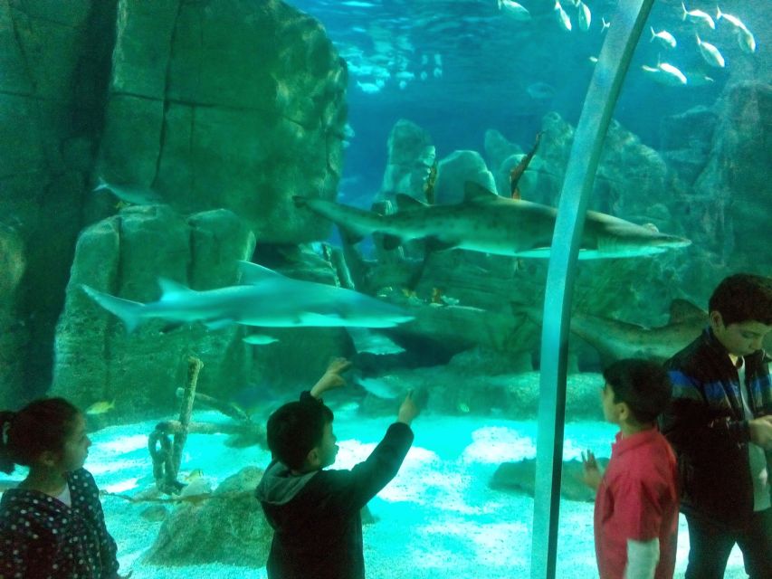 Istanbul Aquarium and Aqua Florya Shopping Mall Tour - Free time at Aqua Florya Mall: shopping with a smart schedule