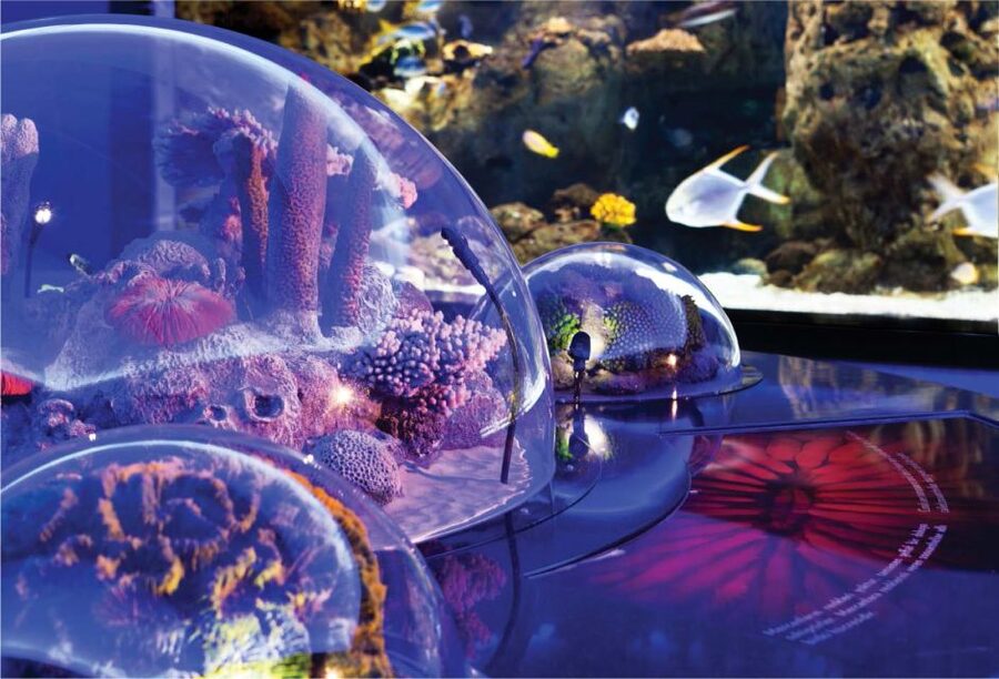 Istanbul Aquarium and Aqua Florya Shopping Mall Tour - Guides, pacing, and what the included transport changes for you