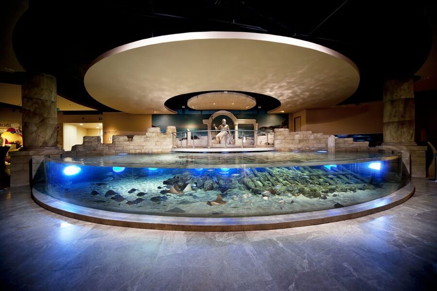 Istanbul Aquarium and Aqua Florya Shopping Mall Tour - The themed route: Black Sea to Pacific Ocean through 16 sections