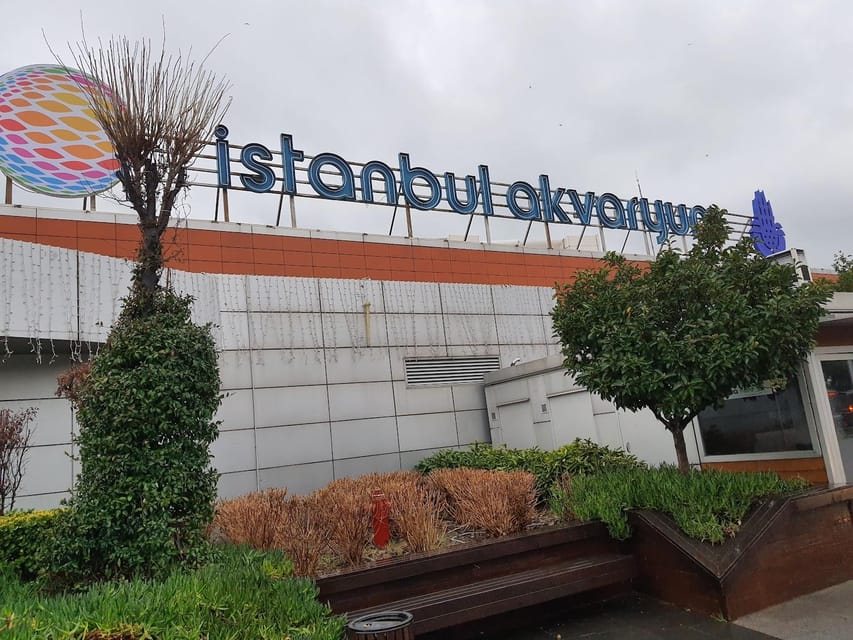 Istanbul: Aquarium Ticket and Round Trip Shuttle from Taksim - Should You Book This Istanbul Aquarium Ticket and Taksim Shuttle?
