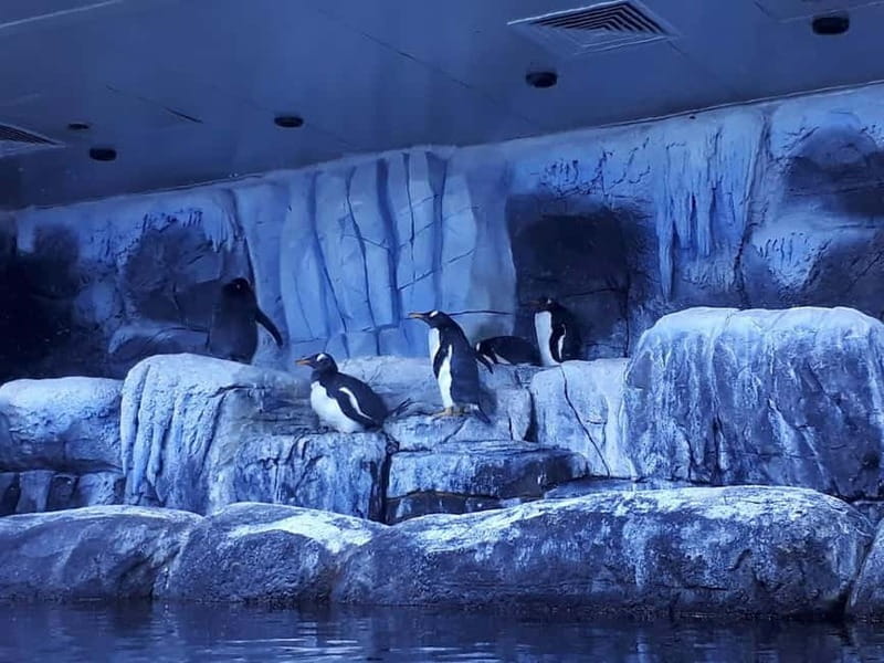 Istanbul: Aquarium Ticket and Round Trip Shuttle from Taksim - Getting Oriented at Taksim Square and the Shuttle Ride
