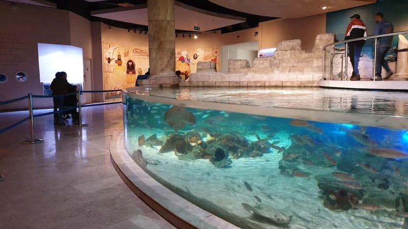 Istanbul: Aquarium Ticket and Round Trip Shuttle from Taksim - Black Sea, Pacific, and Rainforests: The Themed Habitats You Should Plan For