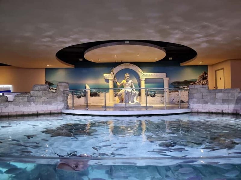 Istanbul: Aquarium Ticket and Round Trip Shuttle from Taksim - Who This Aquarium Day Suits Best (and Who Might Skip It)