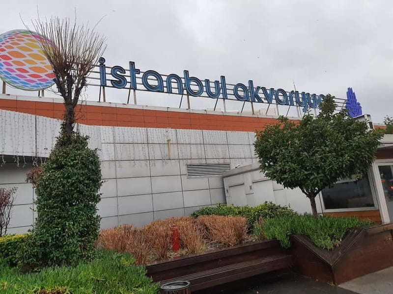 Istanbul: Aquarium Ticket and Round Trip Shuttle from Taksim - Practical Tips to Get the Most From Your Aquarium Walk
