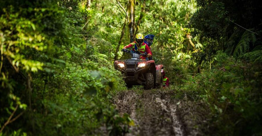 Istanbul: Belgrad Forest ATV Tour with Ziplining Option - What the forest ride feels like on a well-maintained ATV