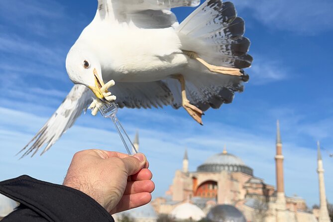 ISTANBUL BEST: Iconic Landmarks Full Day PRIVATE Guided City Tour - Key highlights worth planning for