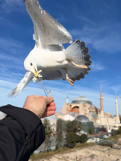 Istanbul: Best of The City Full-Day Tour with Transfers - Skip-the-line access and ticket reality