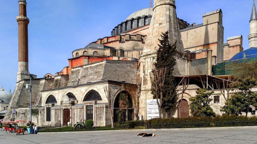 Istanbul: Blue Mosque & Hagia Sophia Guided Tour w/ Tickets - Should you book this tour?