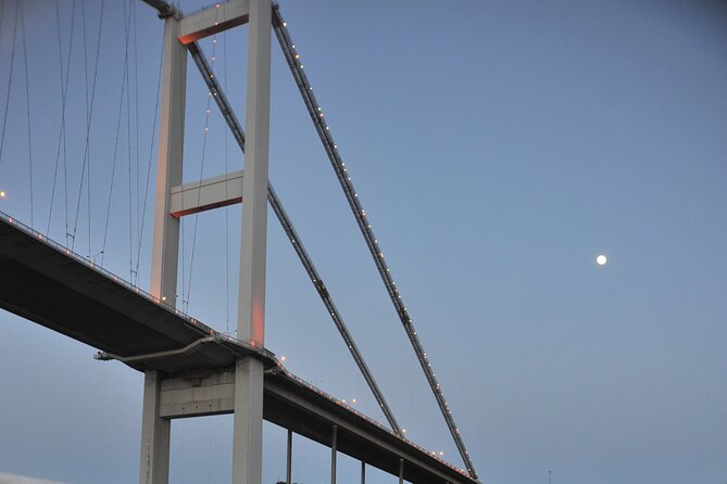 Istanbul: Bosphorus and Golden Horn Cruise with Audio Guide - Bridges, fortresses, and the waterline defenses of Ottoman power