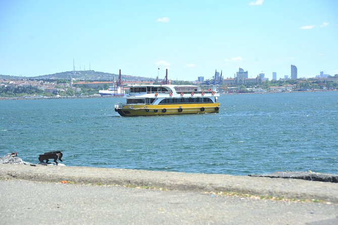 Istanbul: Bosphorus and Golden Horn Cruise with Audio Guide - Price and value: why this cruise works even with imperfect audio