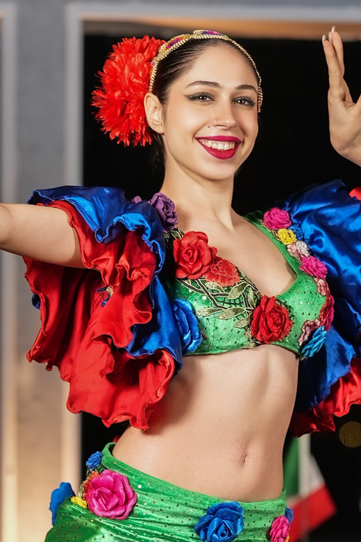 Istanbul: Bosphorus Cruise with Dinner Show - Should you book this Bosphorus cruise?