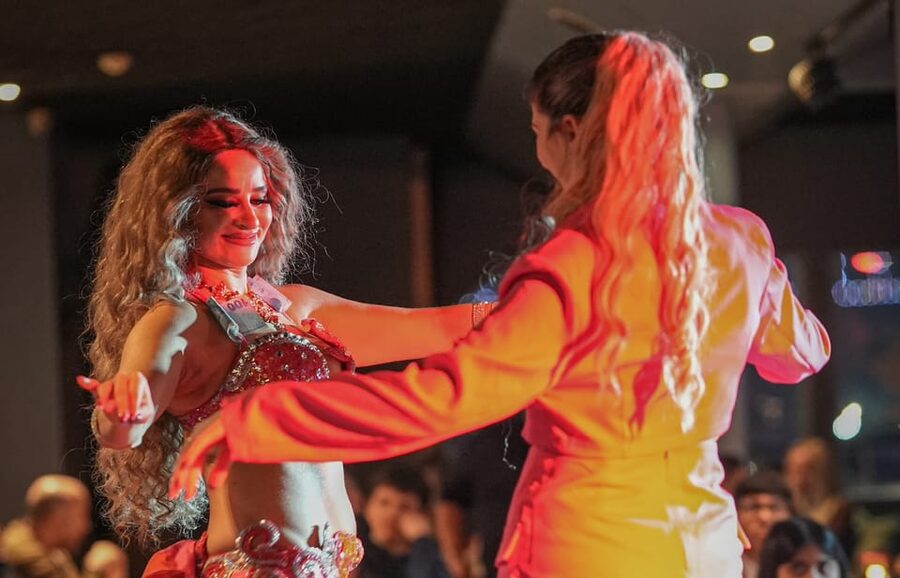Istanbul: Bosphorus Cruise with Dinner Show - Who should book this Bosphorus dinner cruise