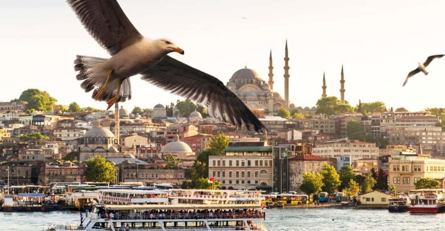 Istanbul: Bosphorus Dinner Cruise with Private Table & Show - Hotel pickup versus meeting at the harbor
