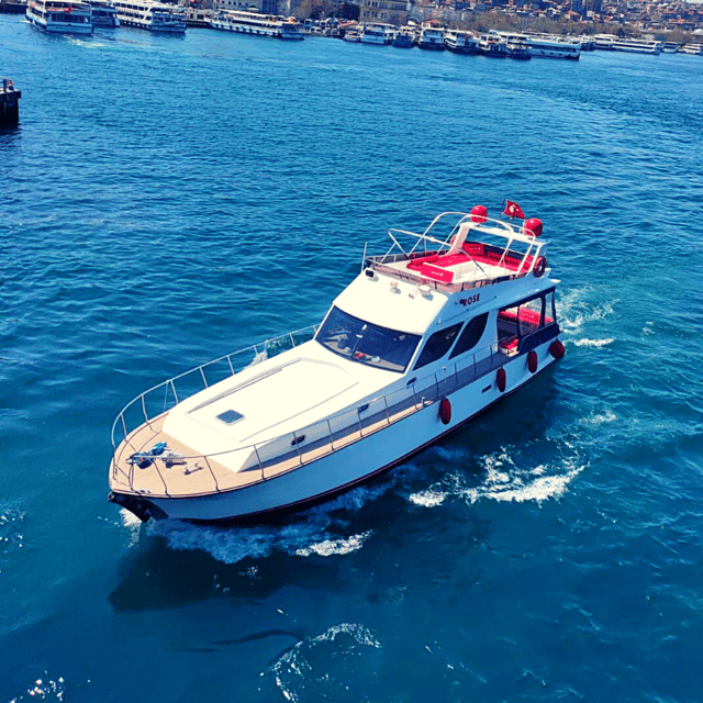 İstanbul: Bosphorus Private Yacht Cruise with Tea and Coffee - Dolmabahçe and Çırağan Palace Fronts: Why This Part Works