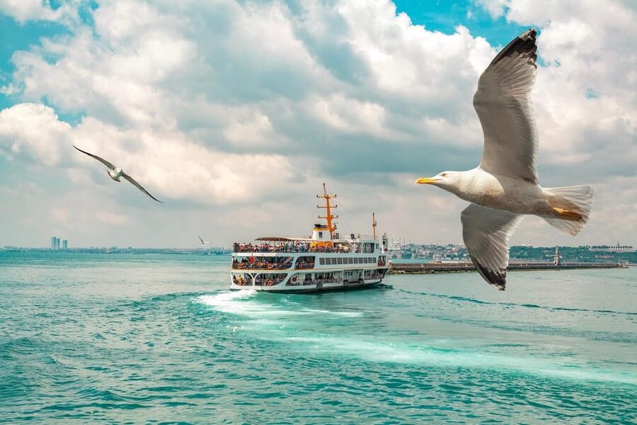Istanbul: Bosphorus Strait Sightseeing Cruise & Audio Guide - Emirgan Park: a break in pace with big skyline payoff