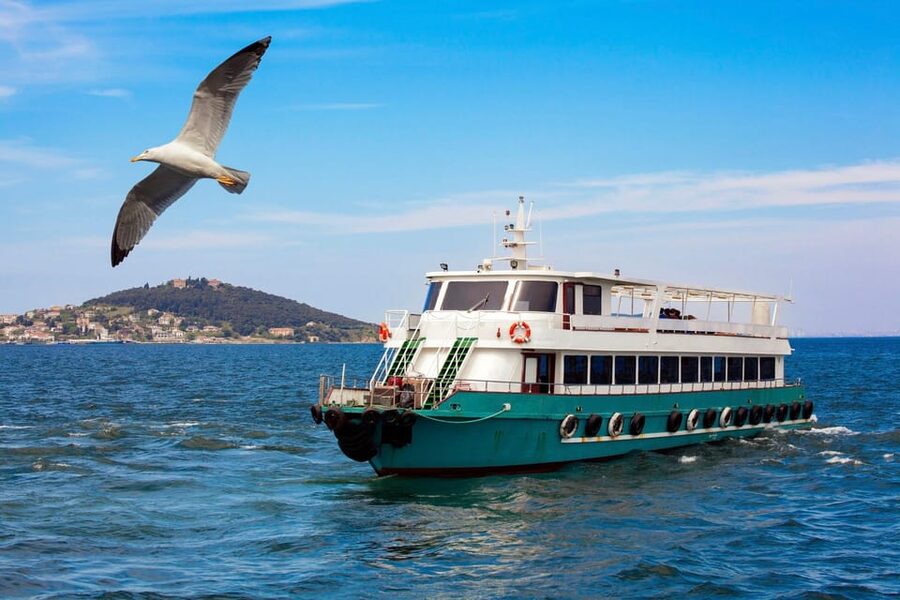 Istanbul: Bosphorus Strait Sightseeing Cruise & Audio Guide - Anadolu Hisari: the Asia-side fort that rounds out the story