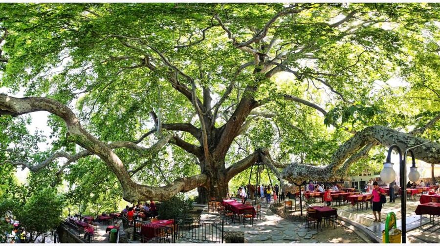 Istanbul: Bursa & Uludag Mountain Day Trip w/ Opt. Cable Car - Key Points Before You Go