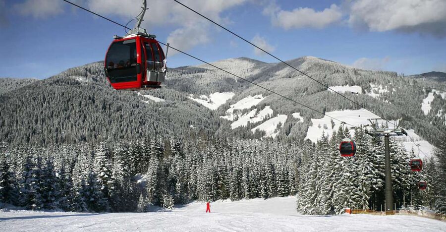Istanbul: Bursa & Uludag Mountain Day Trip w/ Opt. Cable Car - The Stops That Feel Most Turkish: Delight, Honey, and the 610-Year Tree