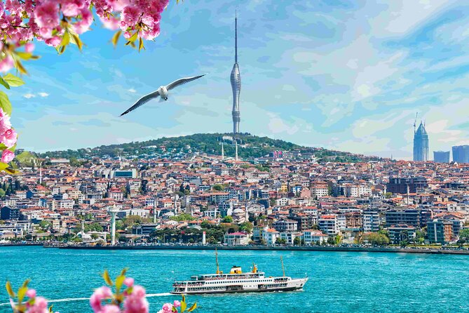 Istanbul Camlica Tower: Private Entry, Transfer & Dine Choices - The Bosphorus drive: strait views and bridge moments on the way