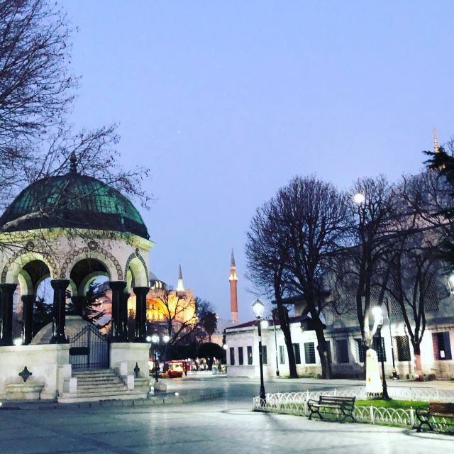 Istanbul: City Highlights Group Tour with Hagia Sophia Entry - Why This 4-Hour Istanbul Loop Feels Just Right