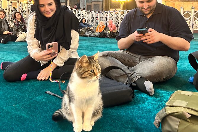 Istanbul City Tour W/ Fast Track Basilica Cistern W/ Small Group - Caferağa Medresesi: calligraphy, Ebru, and a calm courtyard reset