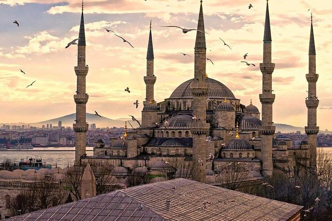 Istanbul Classics and Bosphorus Cruise Private Tour - Hippodrome in five minutes: the Constantinople arena quick hit