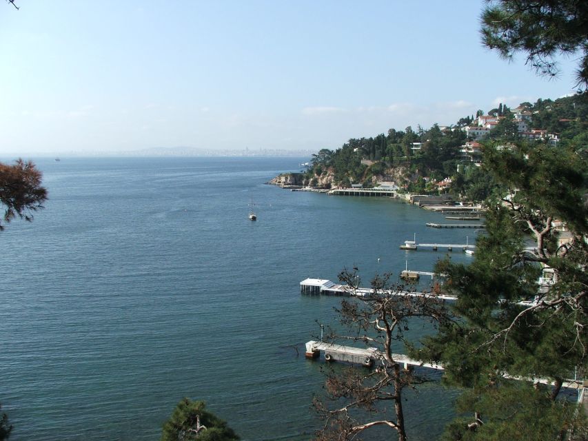 Istanbul: Day Trip to the Princes' Islands - Princes Islands, the Fast Way to Unplug From Istanbul