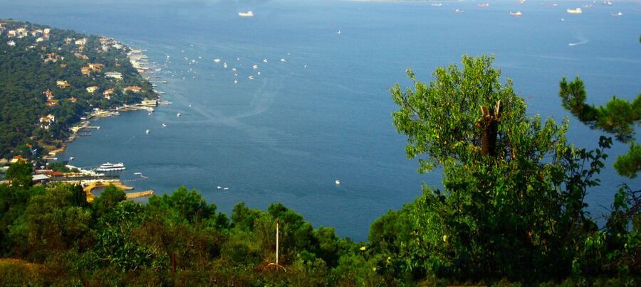 Istanbul: Day Trip to the Princes' Islands - The Marmara Sea Cruise: The Part That Sets the Tone