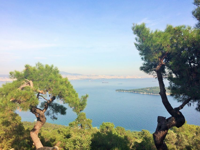 Istanbul: Day Trip to the Princes' Islands - Lunch on the Island: Included, But Keep Your Expectations Grounded