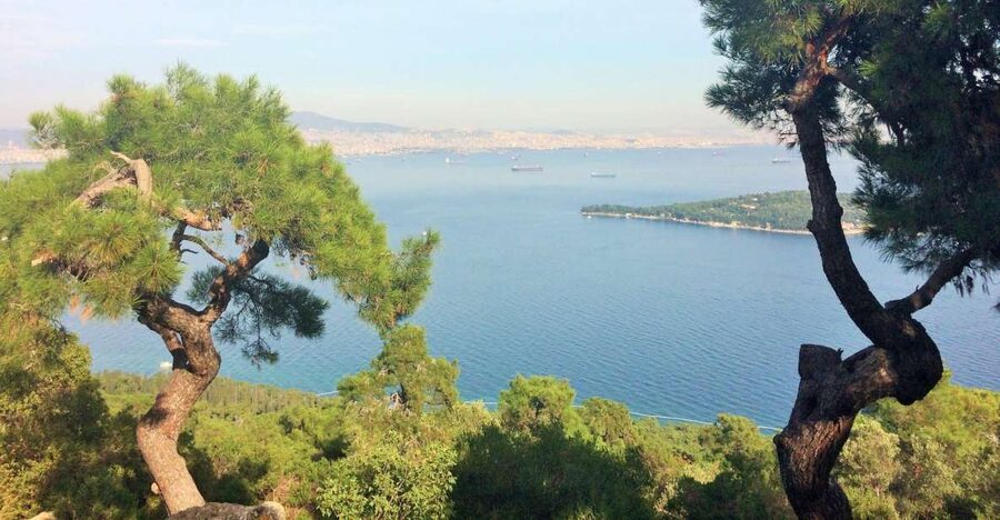 Istanbul: Day Trip to the Princes' Islands - Büyükada Walking Tour: Bay Views, Main Square Time, and Victorian Cottages