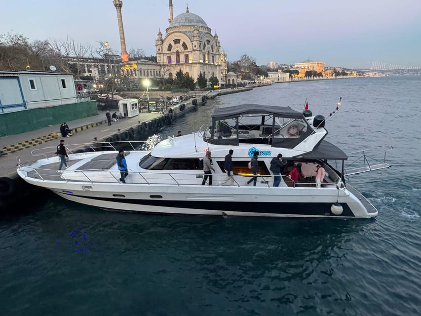 Istanbul: Daytime Bosphorus Yacht Cruise with Fruit & Snacks - Using the audio guide app, how it works and what to expect
