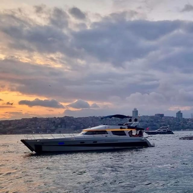 Istanbul: Daytime Bosphorus Yacht Cruise with Fruit & Snacks - What the cruise feels like on the water, wind, comfort, and group size